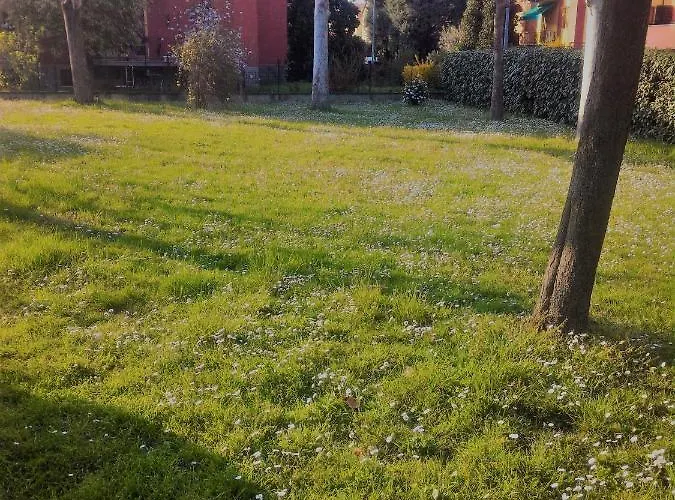 Zola Relax